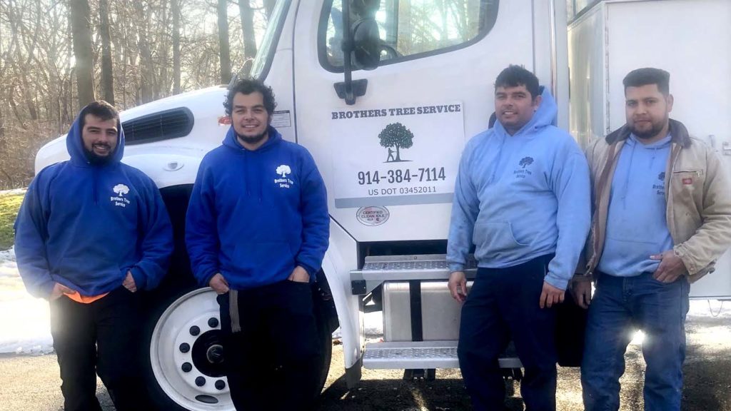 Brothers Tree Service Corp